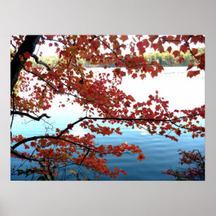 Autumn at Walden Pond Poster