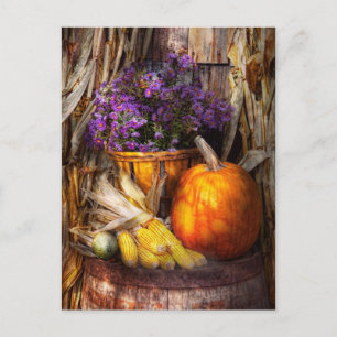 Autumn - Autumn is festive Postcard