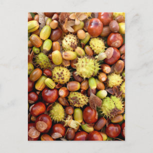 Autumn background postcard