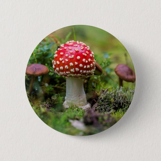 Autumn Beauty 2 Inch Round Button (Front)