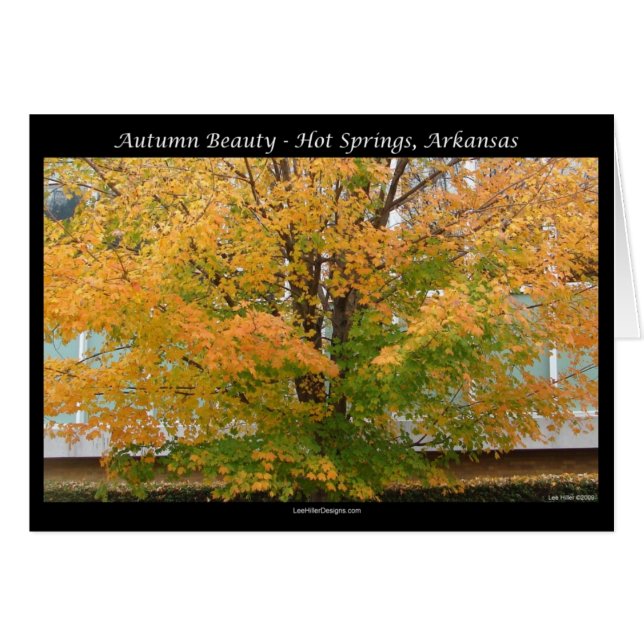 Autumn Beauty Hot Springs, Arkansas Apparel Gifts (Front Horizontal)