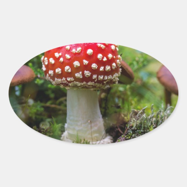 Autumn Beauty Oval Sticker (Front)