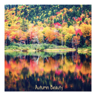 Autumn Beauty Photo Print