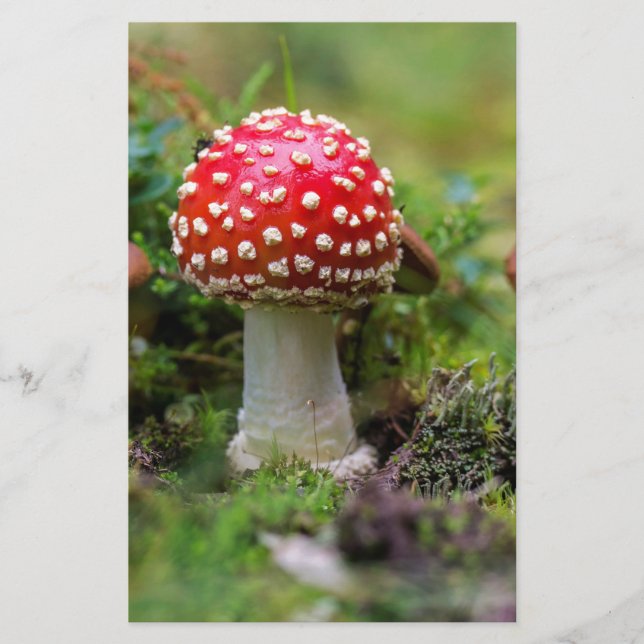 Autumn Beauty Stationery (Front)