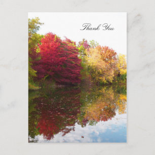Autumn Beauty Sympathy Thank You Postcard