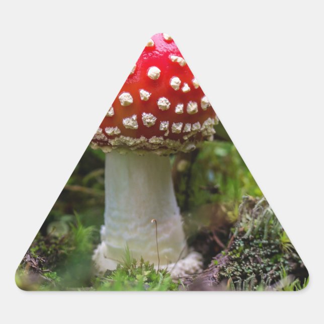 Autumn Beauty Triangle Sticker (Front)