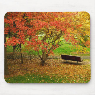 Autumn Bench Mouse Pad