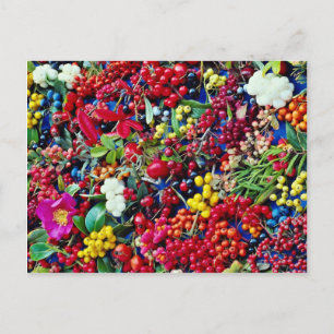 Autumn berries flowers postcard