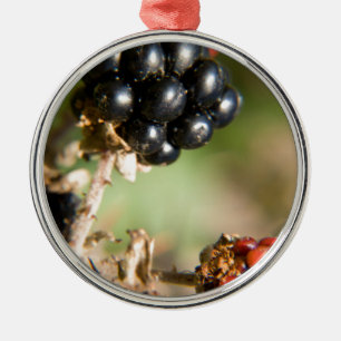 Autumn Berries Metal Ornament