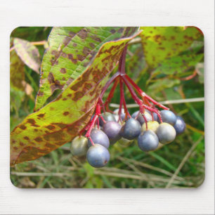 Autumn Berries Mouse Pad