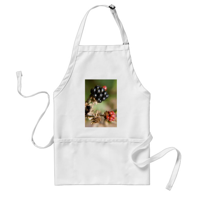 Autumn Berries Standard Apron (Front)
