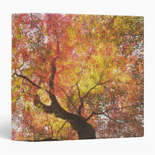Autumn Binder