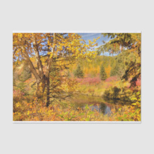 Autumn Birch Tree Tissue Paper