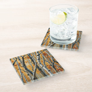 Autumn Birch Trees Coaster