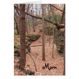 Autumn ~ Birthday Mom