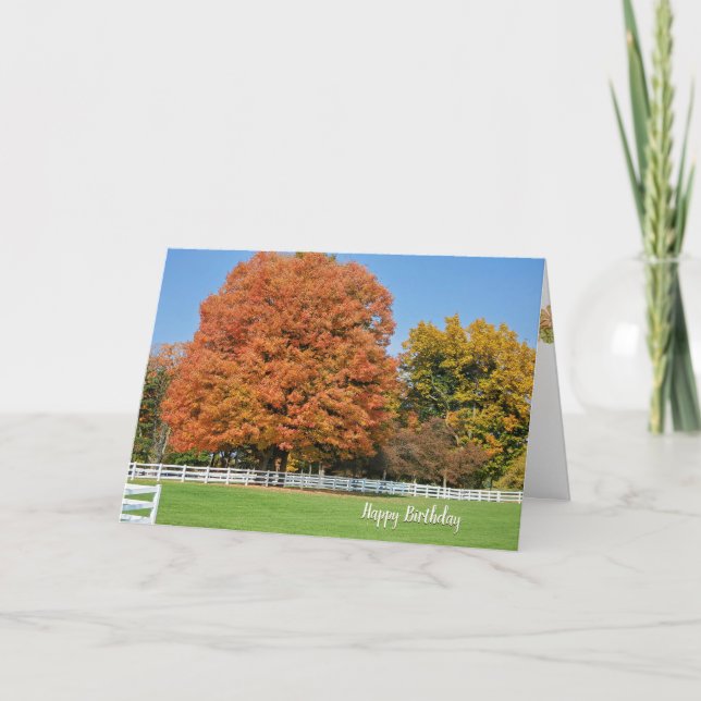 Autumn Birthday Oak Tree Card (Front)
