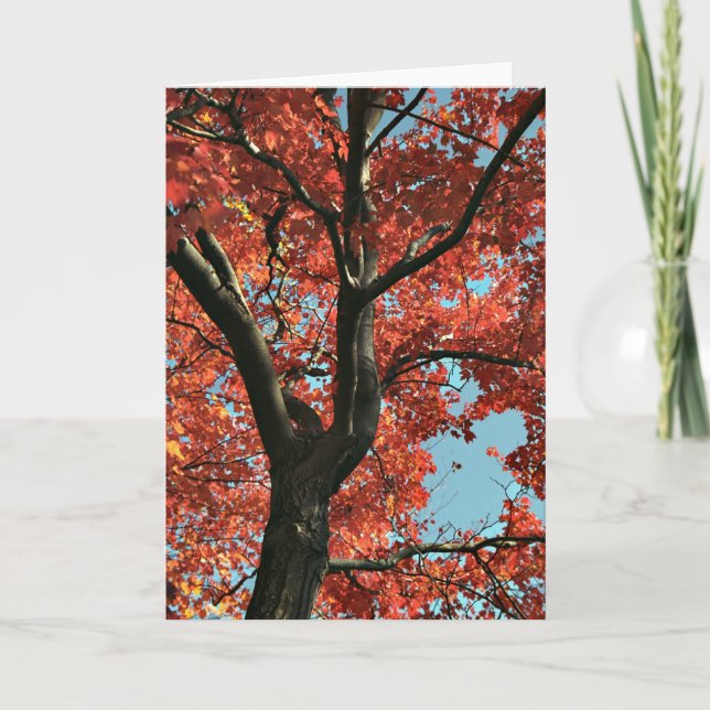 AUTUMN   (blank card) Card (Front)