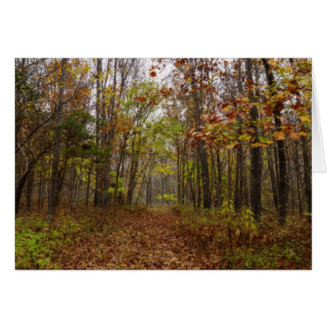 Autumn Bliss (Front Horizontal)