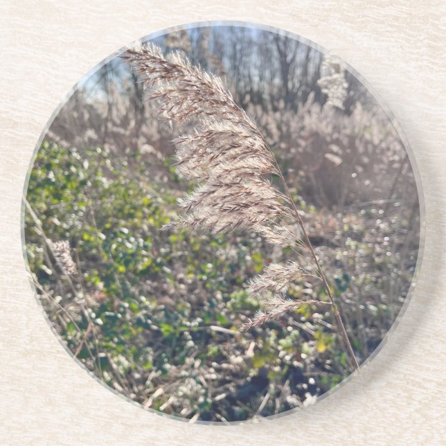 Autumn bliss.. coaster (Front)