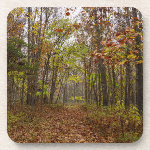 Autumn Bliss Coaster