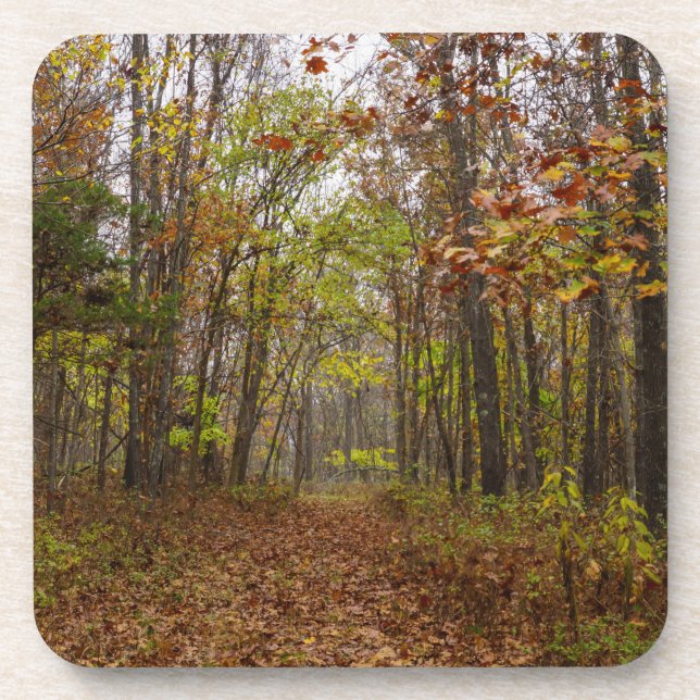 Autumn Bliss Coaster (Front)