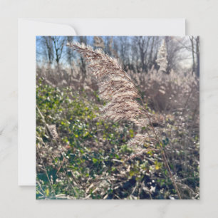 Autumn bliss.. invitation