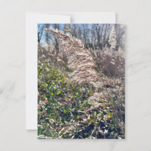 Autumn bliss.. postcard