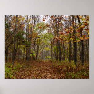 Autumn Bliss Poster