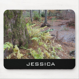 Autumn botanical garden, add your name mouse pad