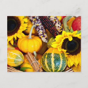 Autumn Bounty Postcard