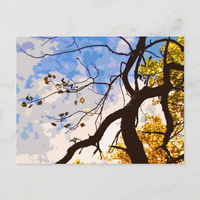Autumn Branches Abstract Postcard (Front)