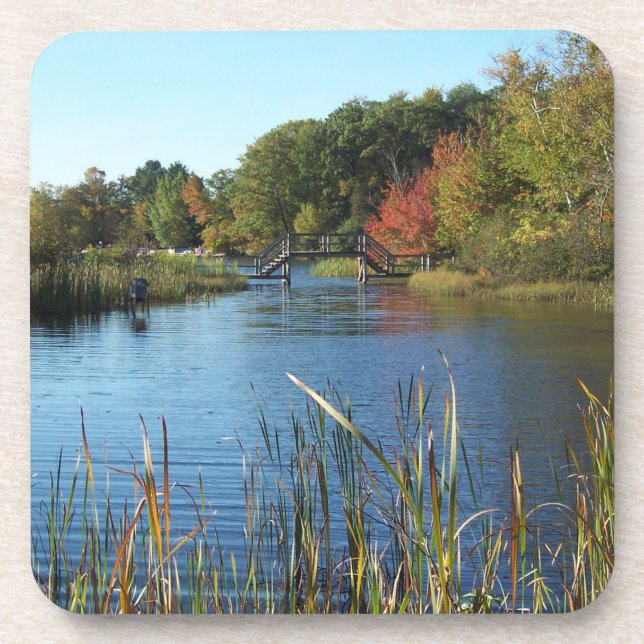 Autumn Bridge  Coaster (Front)