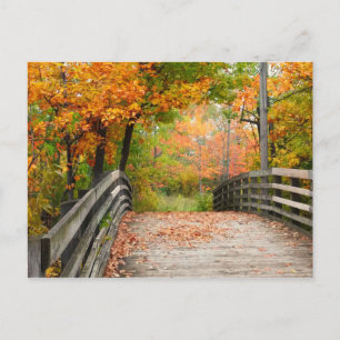 Autumn Bridge Postcard