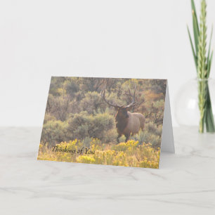 Autumn Bull Elk Custom Thinking of You Card
