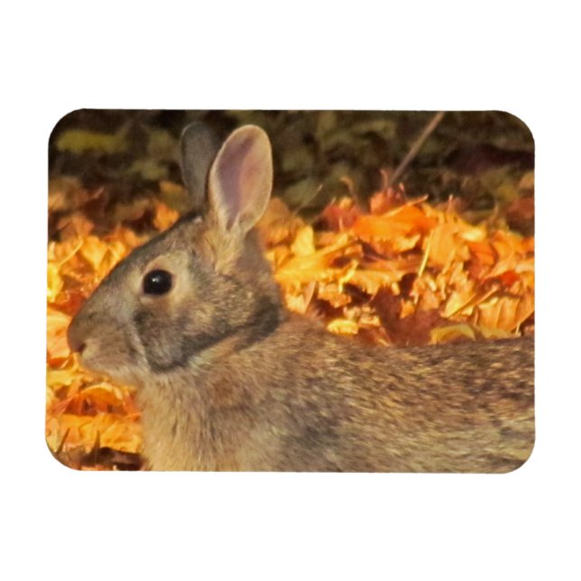 Autumn Bunny Magnet (Horizontal)