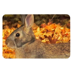 Autumn Bunny Magnet