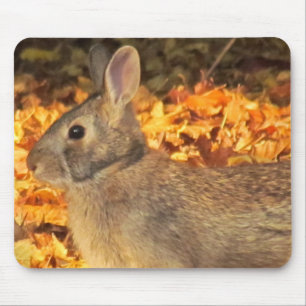 Autumn Bunny Mouse Pad