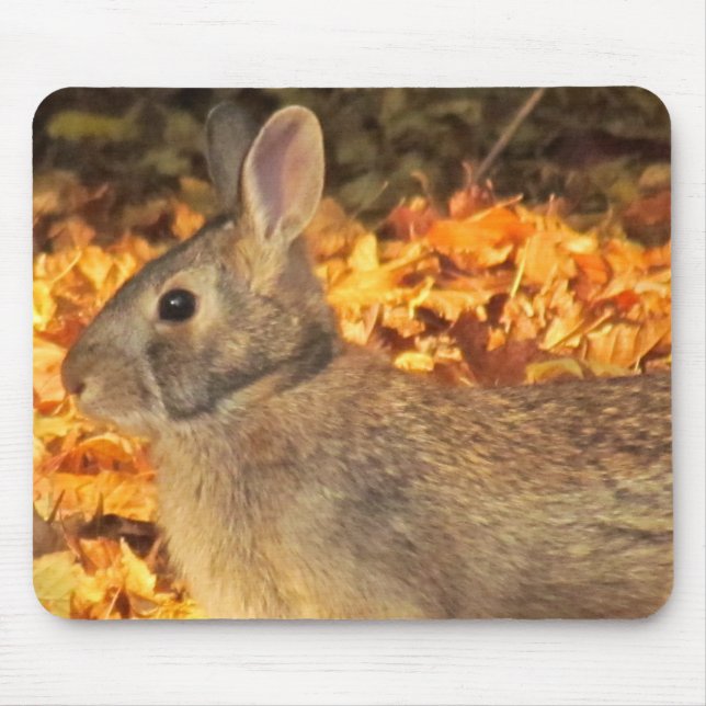 Autumn Bunny Mouse Pad (Front)