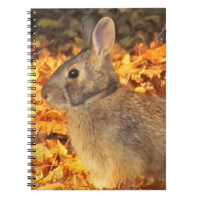 Autumn Bunny Notebook (Front)