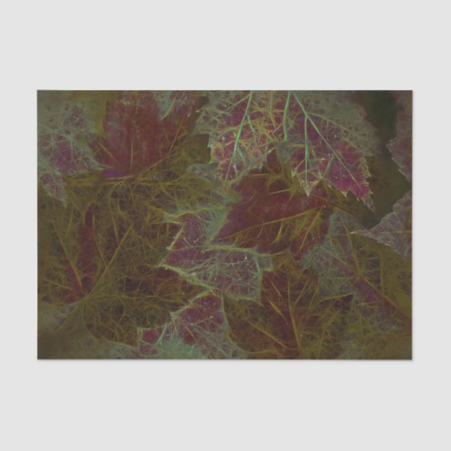 Autumn Burgundy Gold Glowing Dark Maple Leaves Tissue Paper (Front)