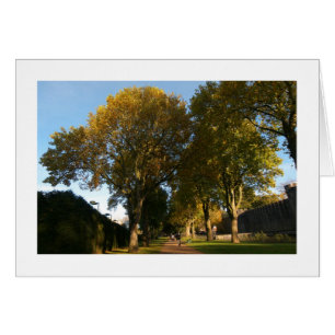 Autumn, Bute Park, Cardiff (Bordered)