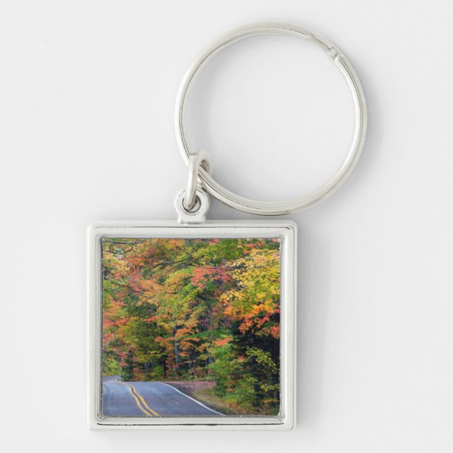 Autumn Canopy Of Colour Along Highway 41 2 Keychain (Front)