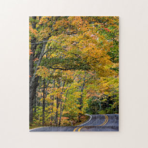 Autumn Canopy Of Colour Along Highway 41 Jigsaw Puzzle