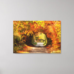 Autumn, Canvas Print, Yellow Bog Kilcullen Print