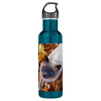 Autumn Cat 710 Ml Water Bottle