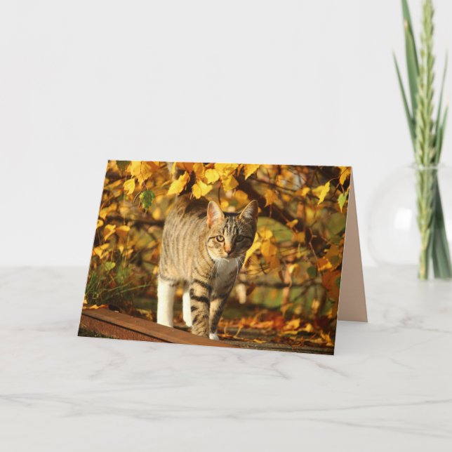autumn cat greeting card (Front)