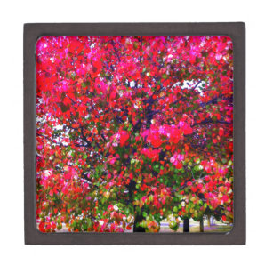 Autumn Changing Leaves, pink impressionistic trees Keepsake Box