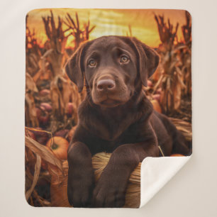 Autumn Chocolate Lab Pup Sherpa Blanket