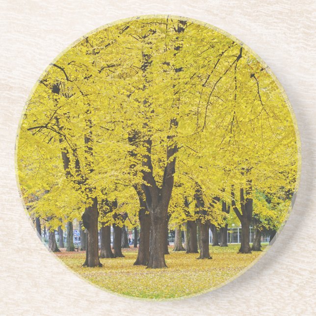 Autumn Coaster (Front)