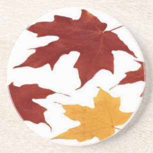Autumn Coaster